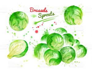 Watercolor illustration of brussels sprouts, whole and half, with paint smudges and splashes.